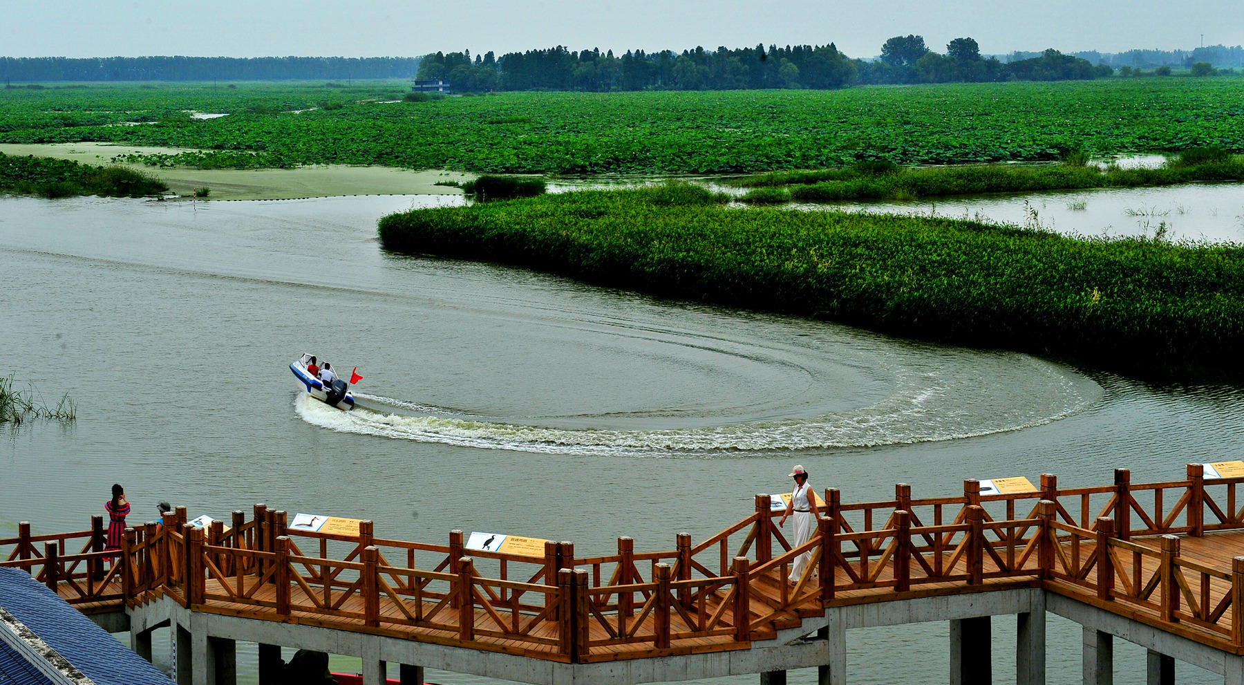潜江返湾湖 潜江市自然资源和城乡建设局供图.jpg