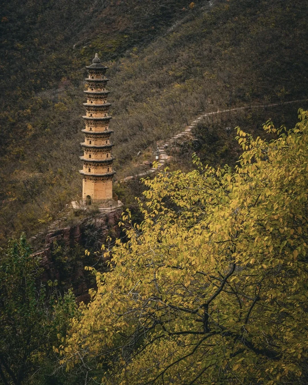 圖源：修武文旅