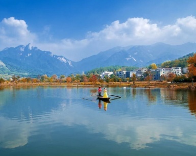 武汉“1+8”都市圈冬候鸟占全省七成！九城守望“候鸟天堂”