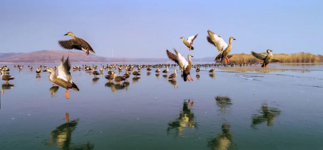 组图 宋开才 摄