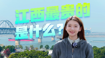 江西最贵的是什么？