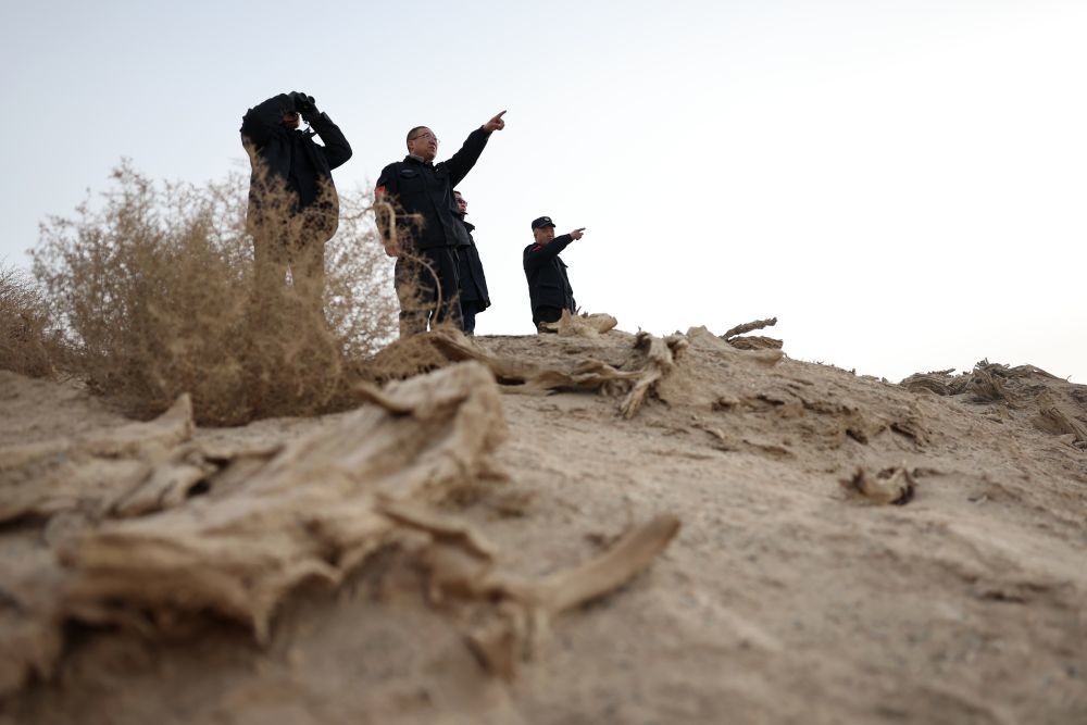 甘肃敦煌西湖国家级自然保护区管护中心玉门关保护站站长吴兴东（左二）和同事在保护区内查看普氏野马活动情况（2月5日摄）