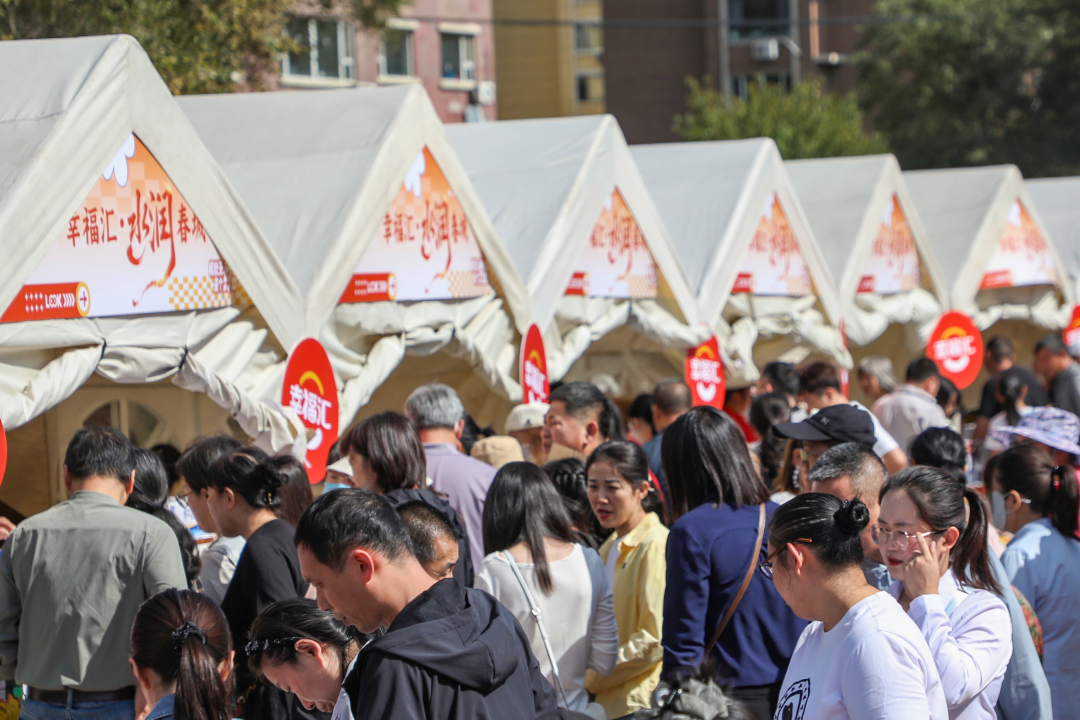 实施提振消费行动