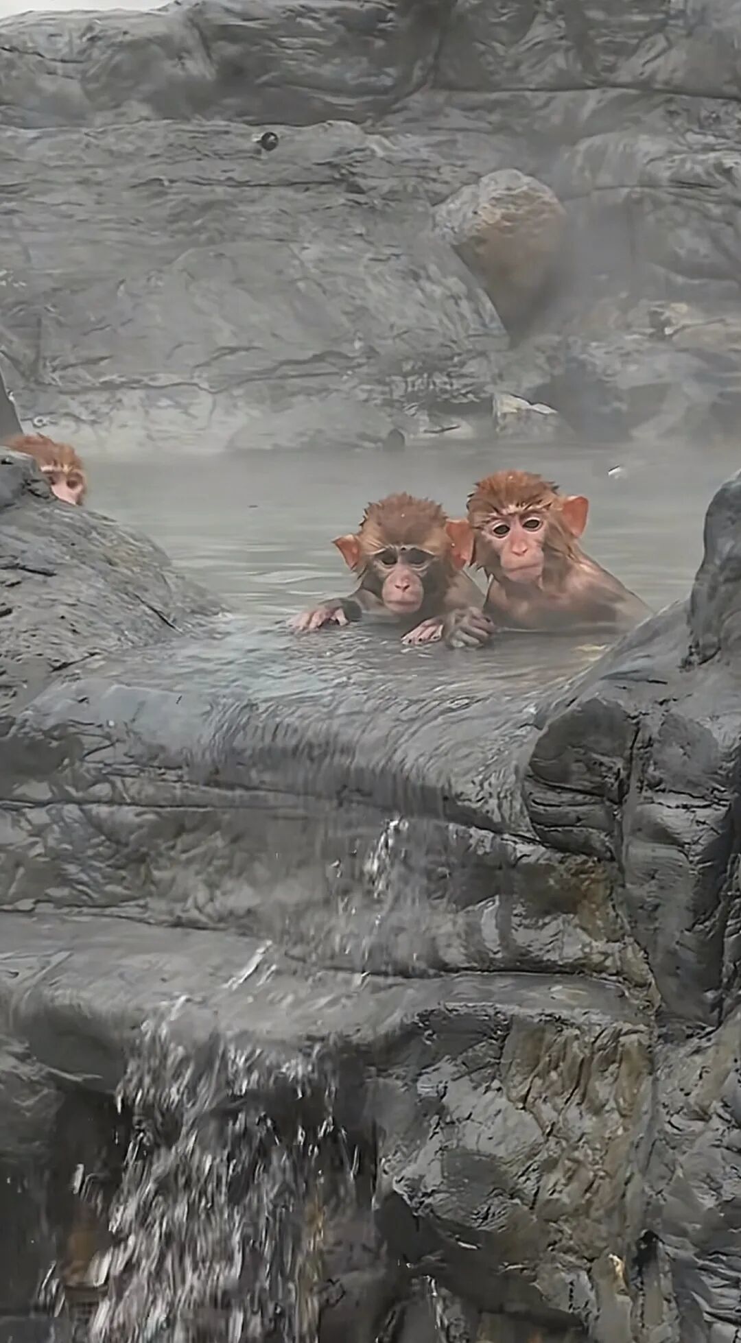 网友拍摄的视频截图