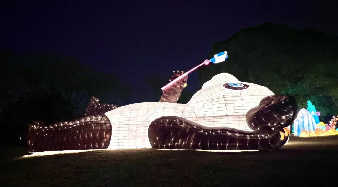 亮灯！2026泰州望海楼新春灯会满屏光影