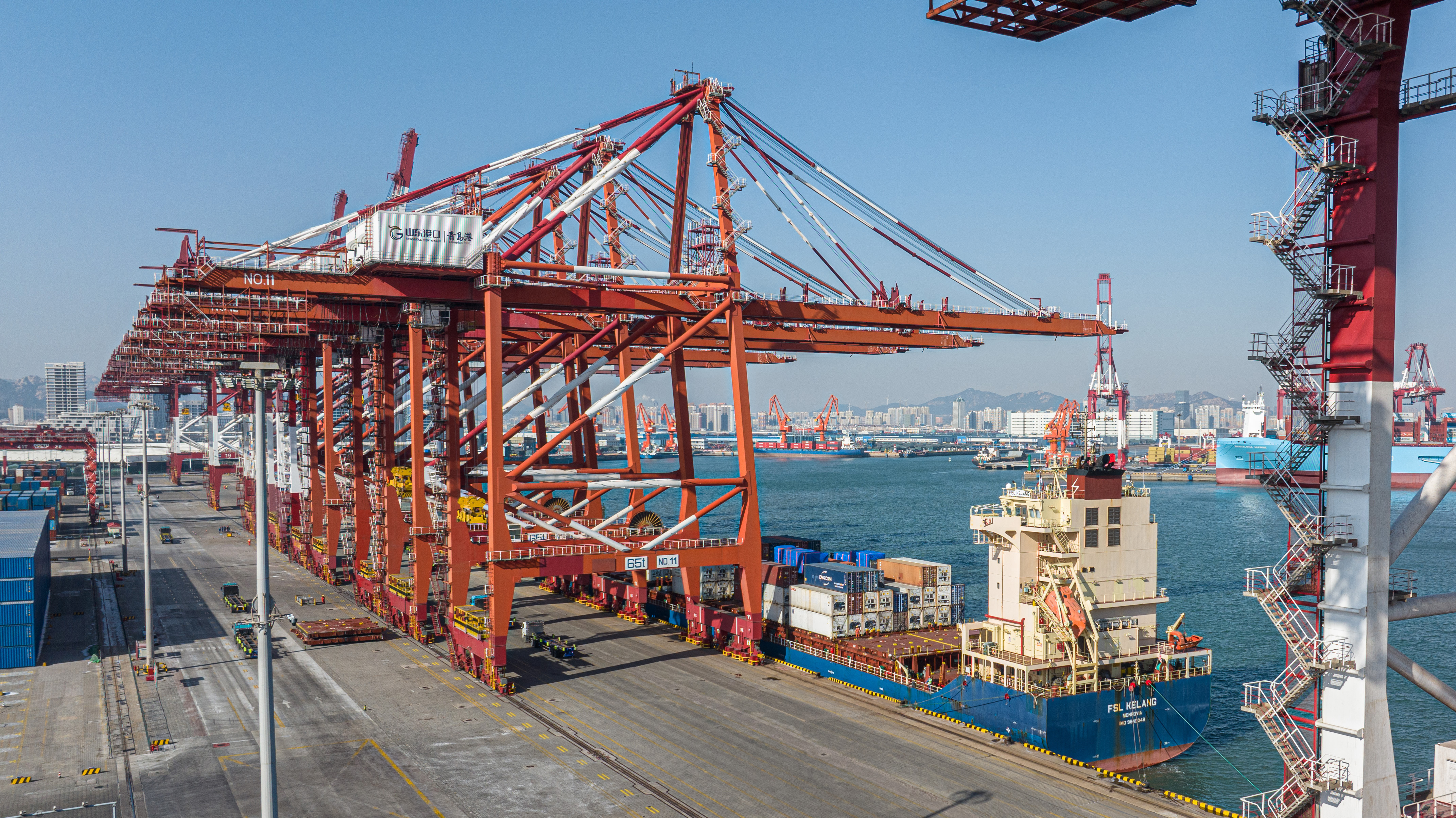 从山东港口青岛港首月开通4条新航线 看“十五五”开局外贸新脉动