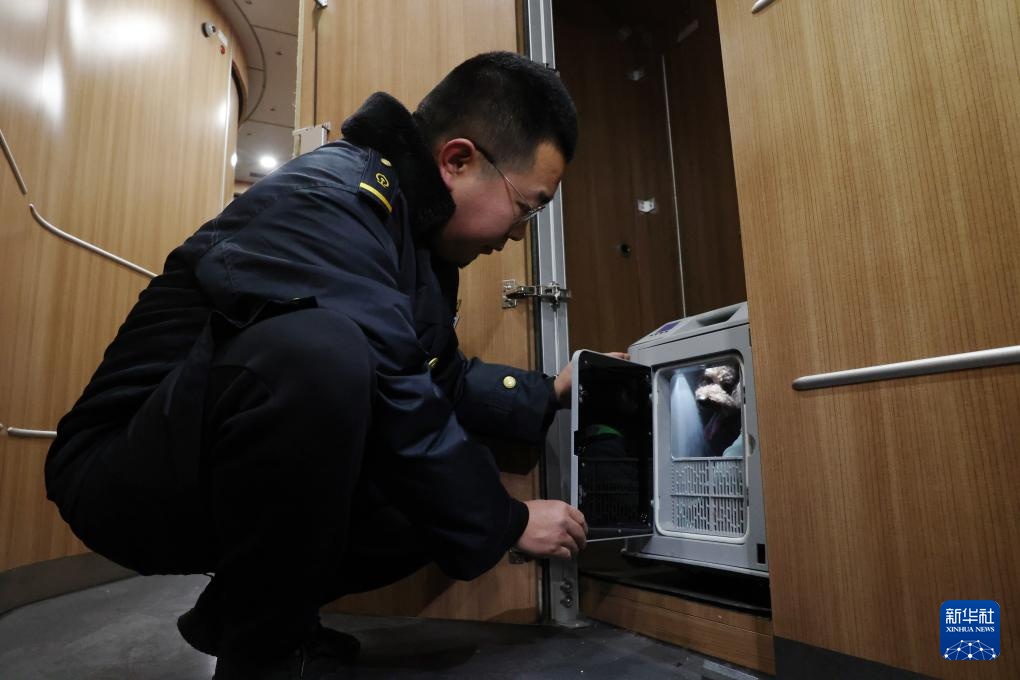 2月1日，中铁快运兰州西站营业部工作人员孙谦在高铁列车开车前检查宠物情况。