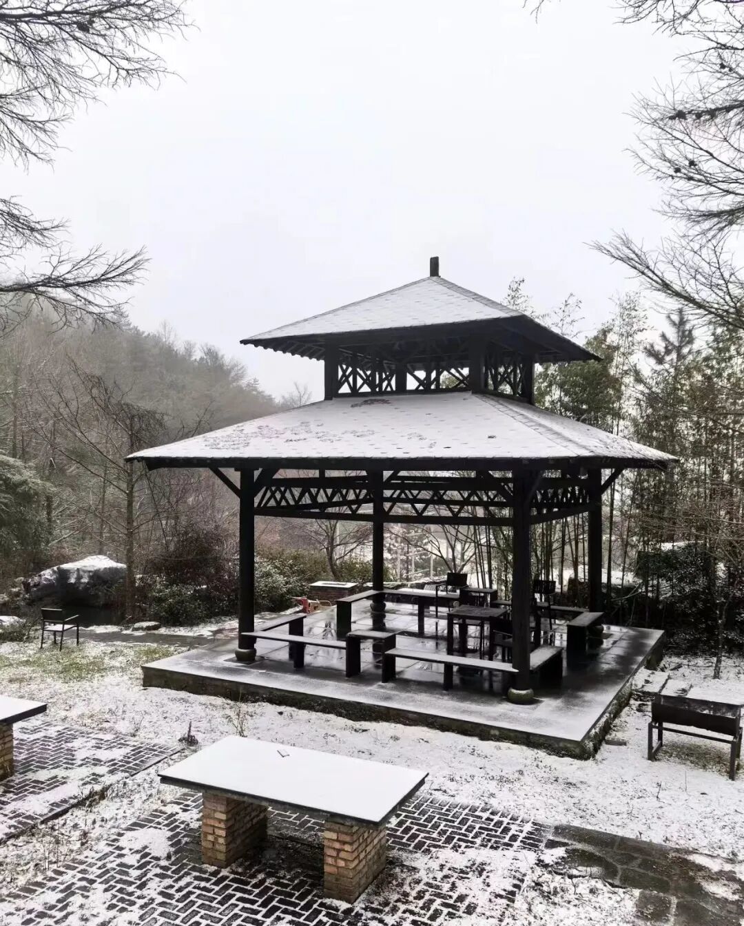 寧波又下雪了！明起大轉折