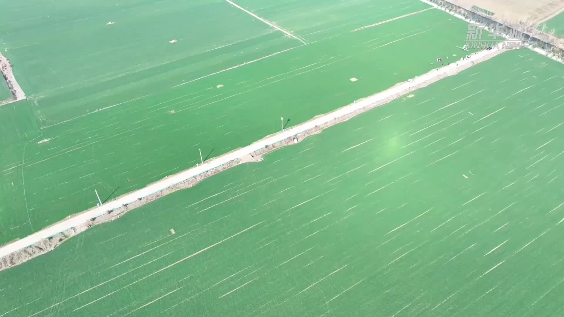 科技“壮苗”田管有“智”更有“质”