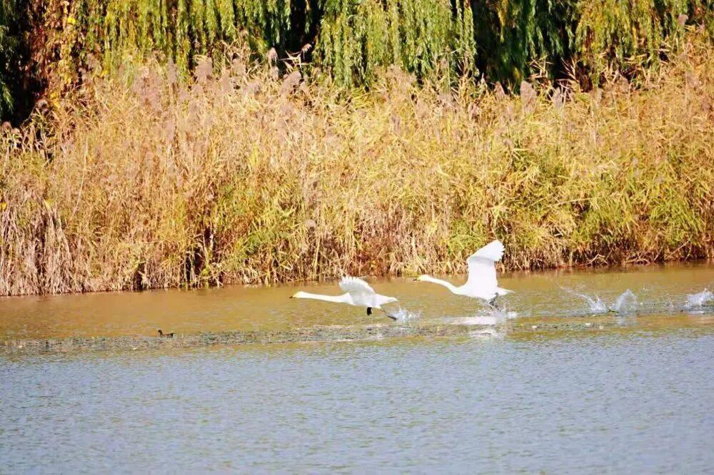太震撼！淄博这里惊现冬日限定美景！