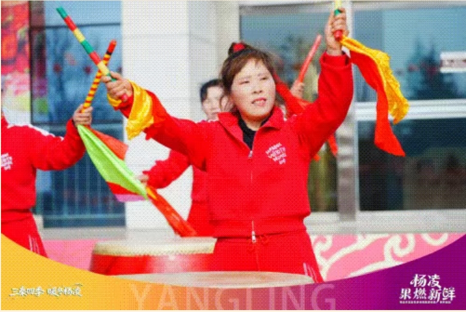 趣采摘 逛景区 品非遗 杨凌特色活动解锁年味新体验