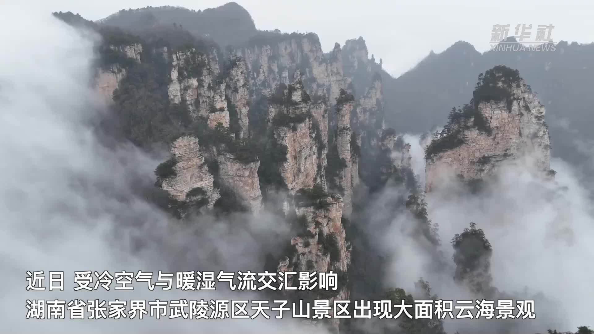 在湖南张家界，遇见云海“水墨画”