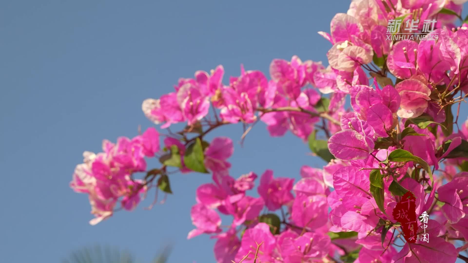 千城百县看中国｜广东东莞：风启春序 岁入新章