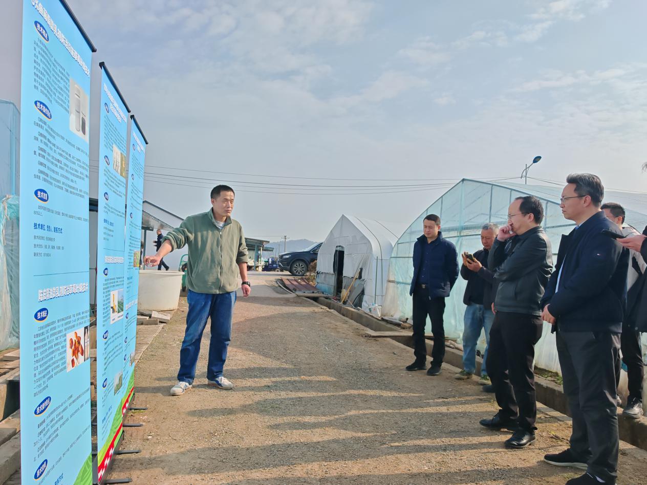 省农科院植物保护与微生物研究所的武军博士介绍破解草莓病虫害难题的生物防控技术