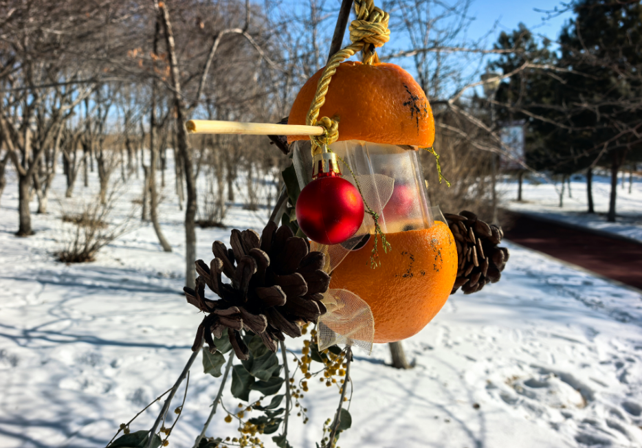 �����滨԰��ů����վ�� �������Ӽ�ͥЯ�ֹ���