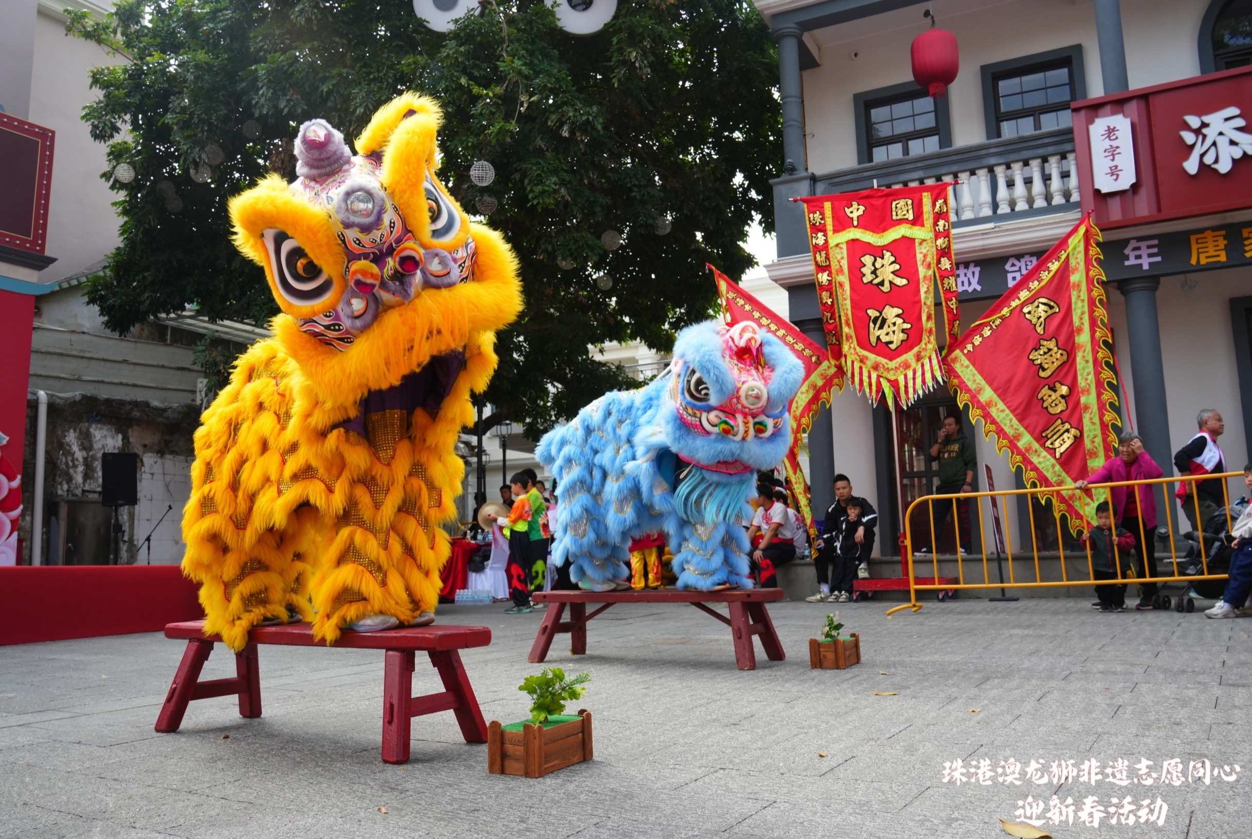 非遗传文脉，志愿暖湾区 珠港澳三地代表齐聚唐家古镇共庆新春