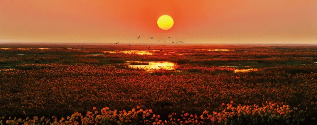 守护“大湖水乡”！宿迁定下湿地保护十年之约