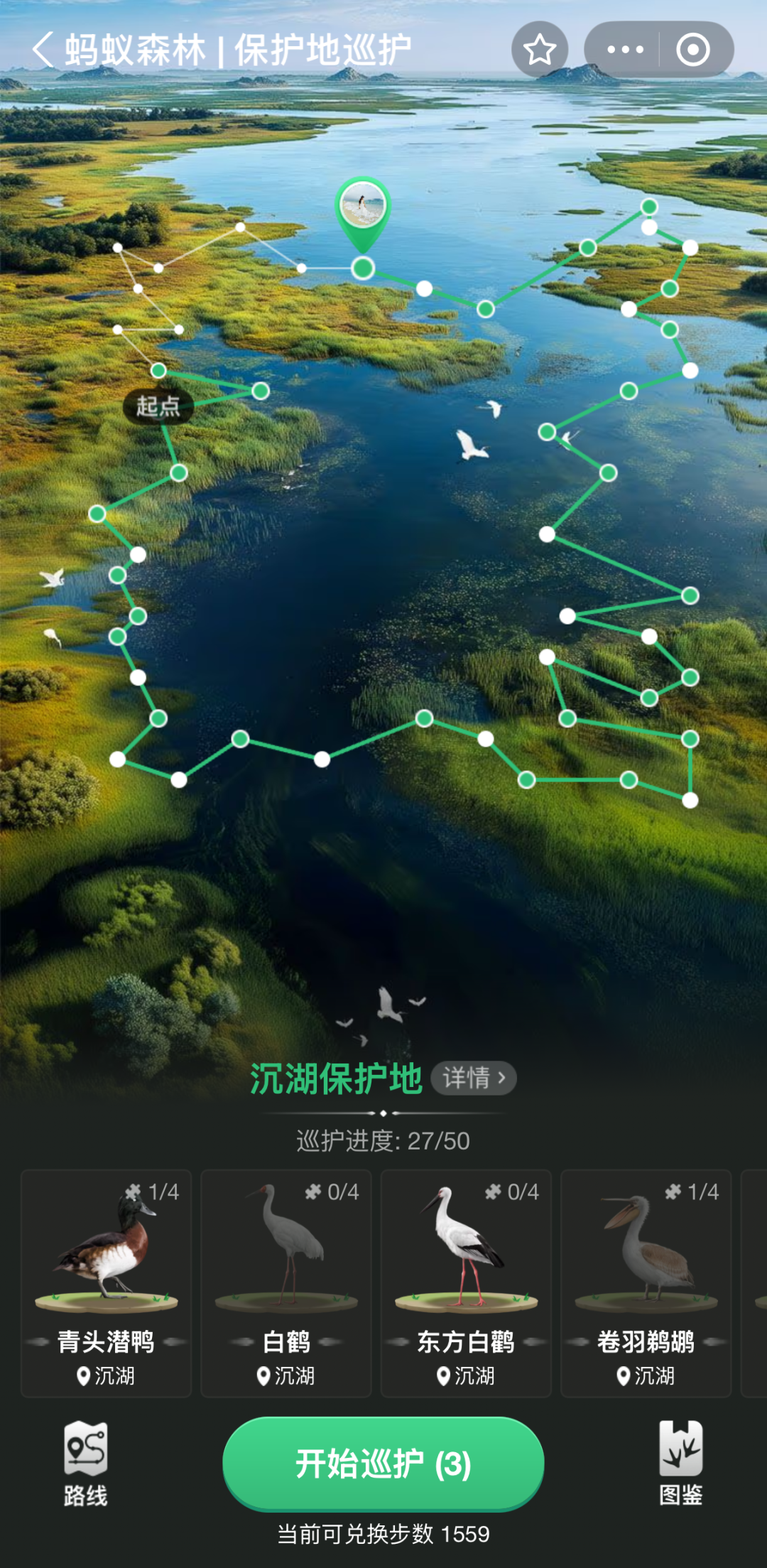 只需三步，就能开启这场云端守护之旅，零门槛参与沉湖生态保护。网友打开支付宝进入蚂蚁森林，在“森林广场”找到“保护地”入口，点击“沉湖保护地 - 开始巡护”即可启程。每天3次基础巡护机会之外，邀请好友组队、步行兑换能量等方式还能解锁额外探索次数，让日常行为轻松转化为保护力量。