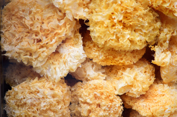 图片来源：Pixabay