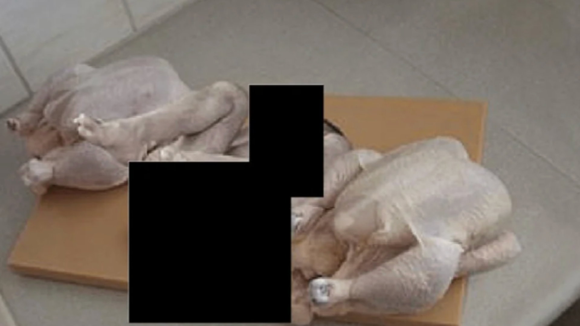 美国司法部公布爱泼斯坦案照片，两块鸡肉中间有一个物体被涂黑，细思极恐…