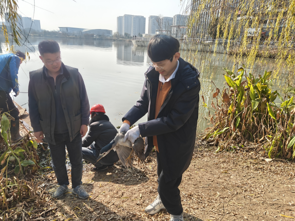 看，这只“夜师傅”回家啦！