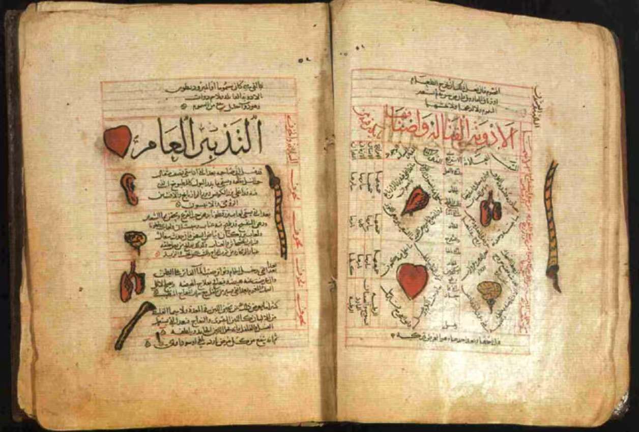 伊本&middot;西那（Ibn Sina）著名著作《医典》（Al-Qanun fi al-Tibb）的手稿插页 图片来源：The Globe and Mail website