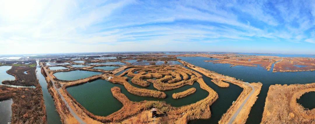 白马湖湿地 王昊.jpg