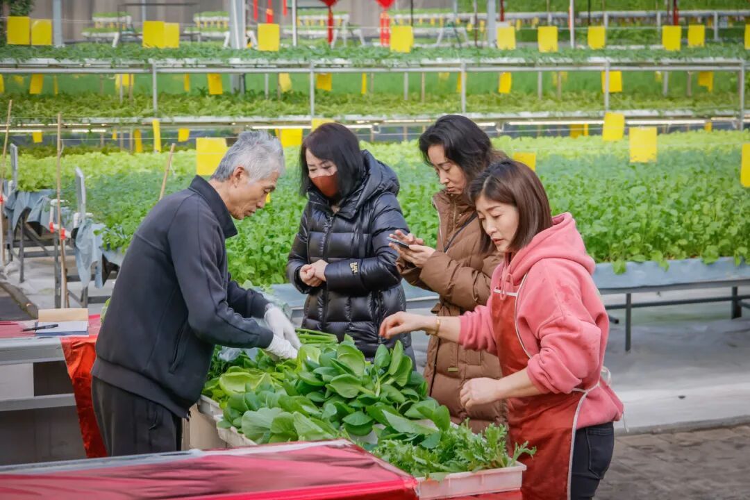 本周五启幕！超全逛展指南来了！一起欢喜迎新春！