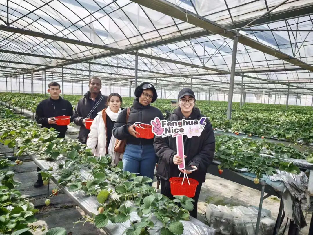 中国外文局组织多语种媒体团深入奉化滕头村，解锁“共富密码”→