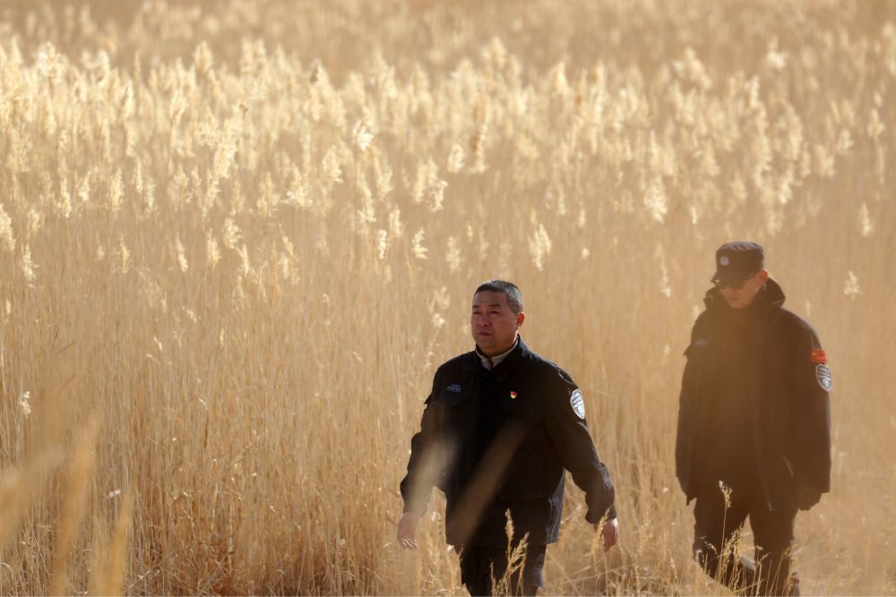 甘肃敦煌西湖国家级自然保护区管护中心玉门关保护站站长吴兴东（左）和同事孙海隆在保护区内巡护（2月5日摄）