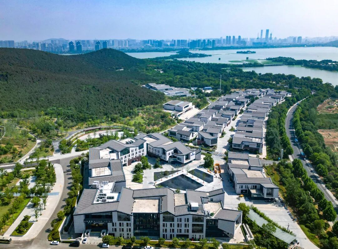 海鸥：徐州真好，明年还来