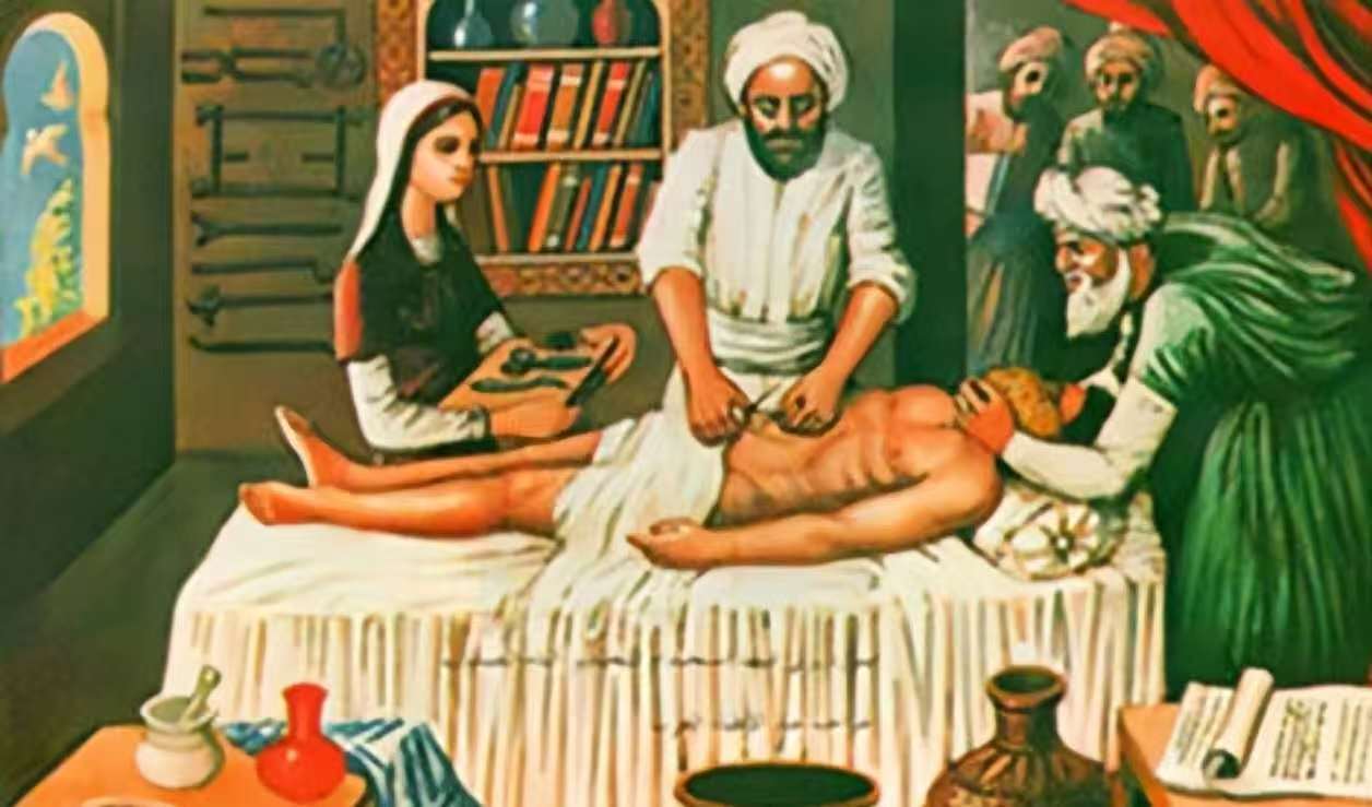 图片来源：IHAMS Institute website