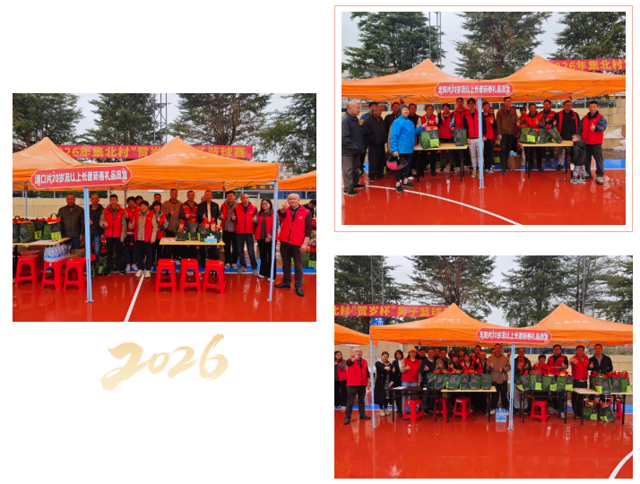 党群共建暖新春，服务惠民乐开怀 —— 集北村便民服务活动圆满落幕！