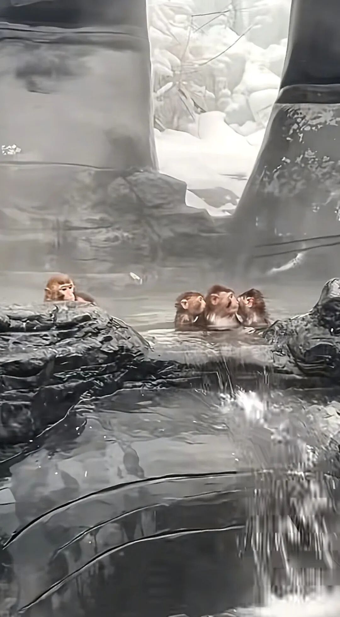 网友拍摄的视频截图