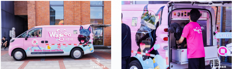 点击查看原始图片