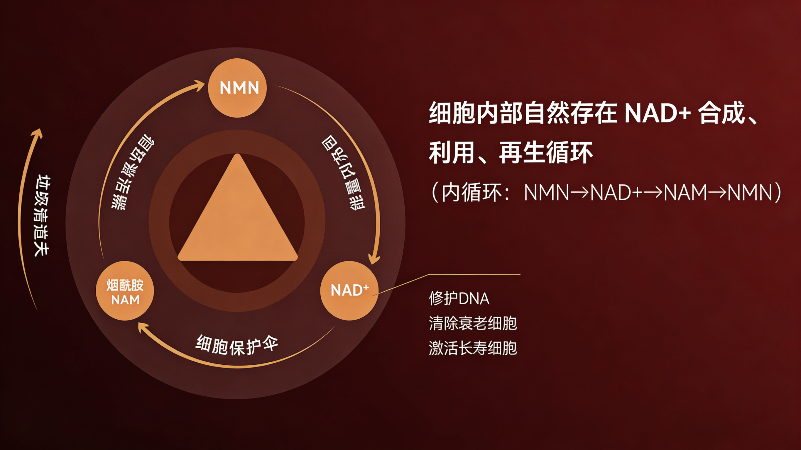 点击查看原始图片