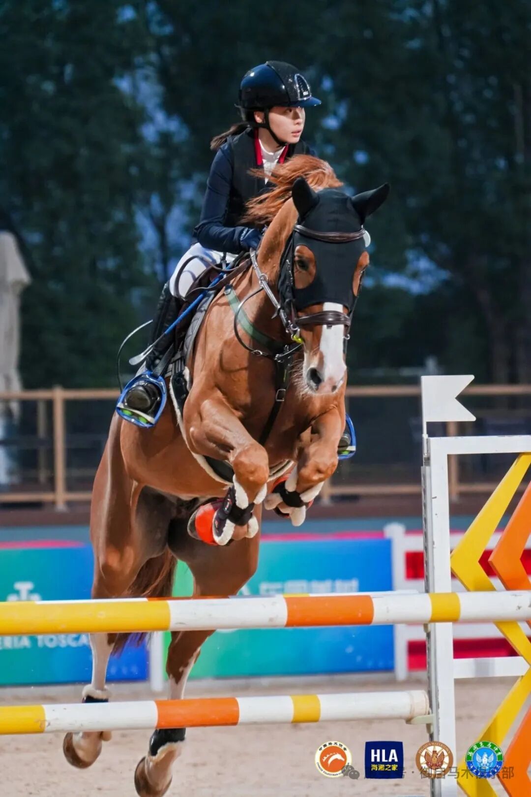 从宁波跃入国家队，16岁马术少女亚洲赛场夺银