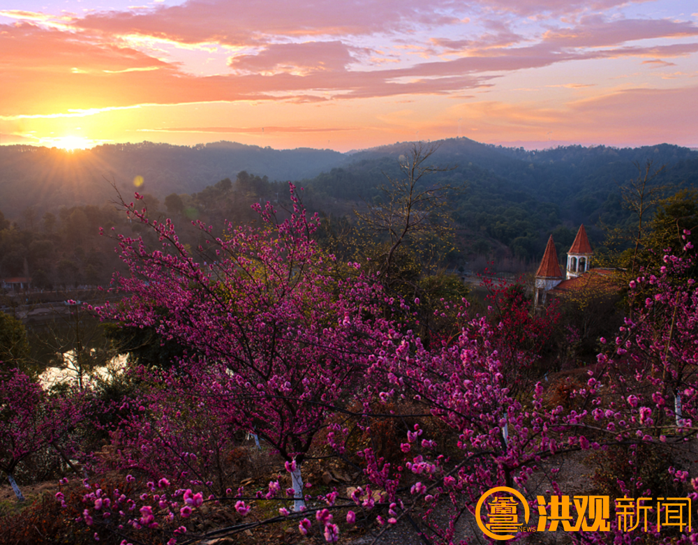 南昌梅花盛开引客来！这份赏梅地图请收好