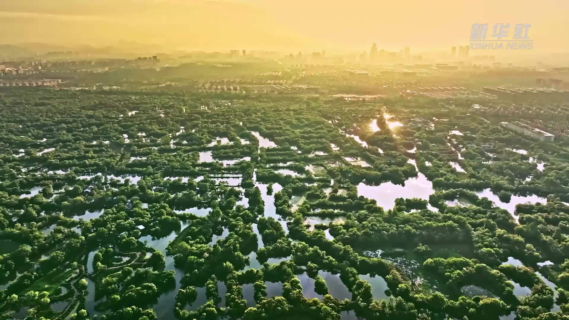 “地球之肾”如何守护？湿地与你我息息相关