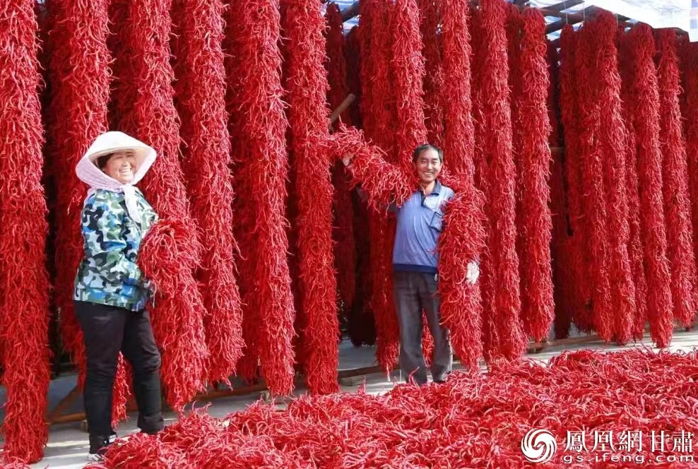 “甘谷辣椒”让老百姓日子越过越红火　图源自中共天水市委宣传部官方公众号