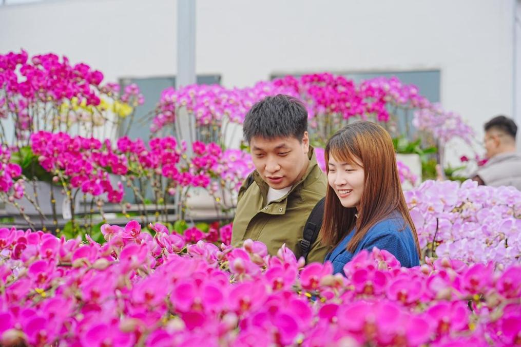 珠澳一家亲,欢喜迎大年:珠光集团举办“迎澳同胞来珠过大年”主题体验活动 盛邀港澳同胞来珠过大年