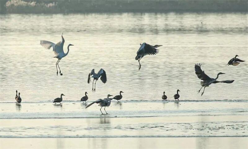 太震撼！淄博这里惊现冬日限定美景！