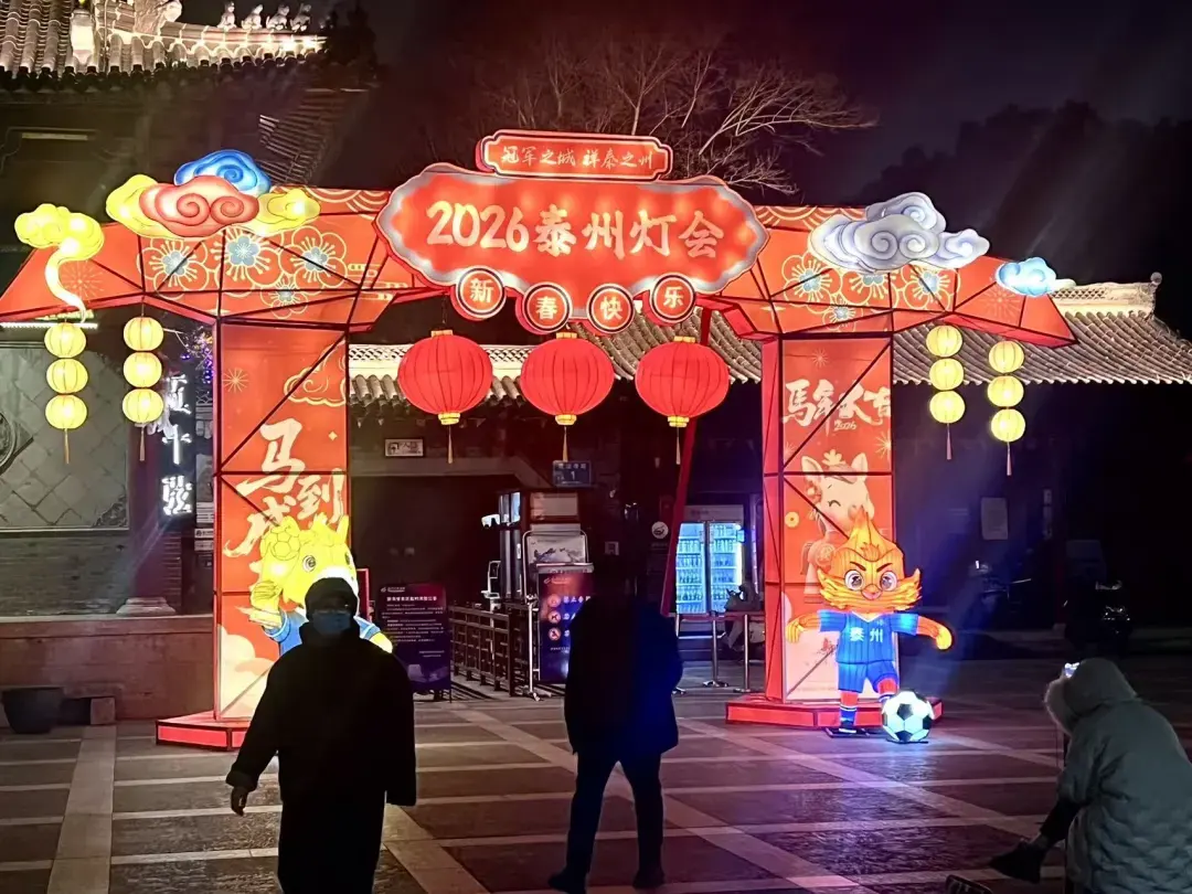 亮灯！2026泰州望海楼新春灯会满屏光影