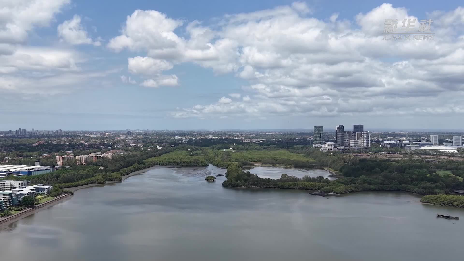 世界湿地日｜走进悉尼巴杜红树林湿地