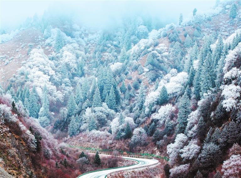 近日，雪后的省道209线宕迭公路南河口至腊子口段旅游公路，宛如一幅水墨画，美不胜收。新甘肃&middot;甘肃日报通讯员　胡卫东