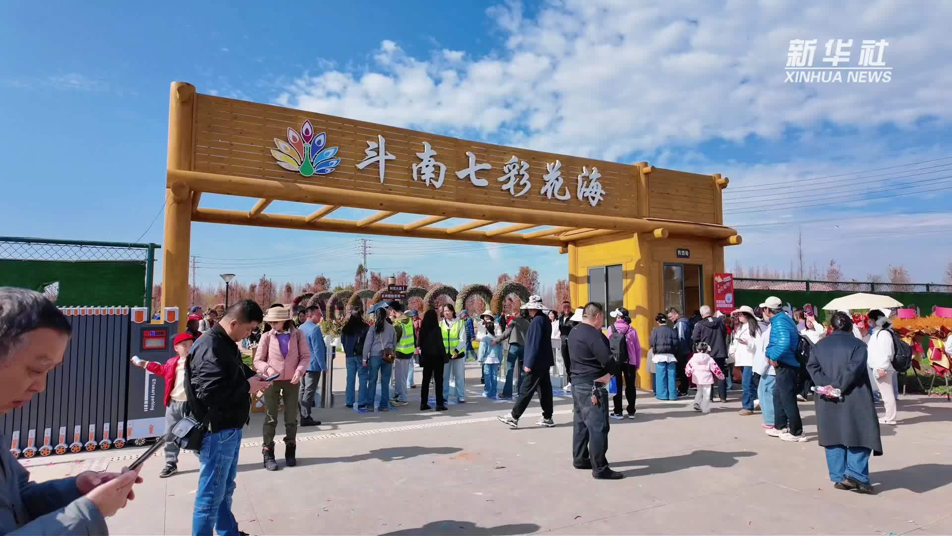 “亚洲花都”建起七彩花海公园