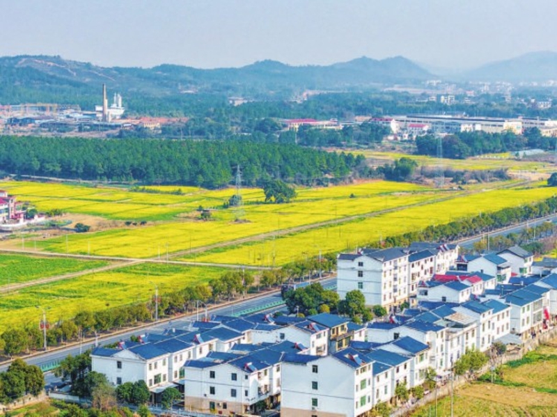 峡江县：春日田园画卷（图）