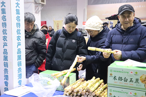 桂香飘塞上 产销谱新篇——2026年广西供销大集贵港名特优农产品亮相呼和浩特