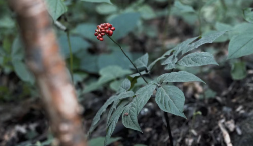 ͨ����ͨ����ũ�ز�ҵʵ���Ȳ���չ