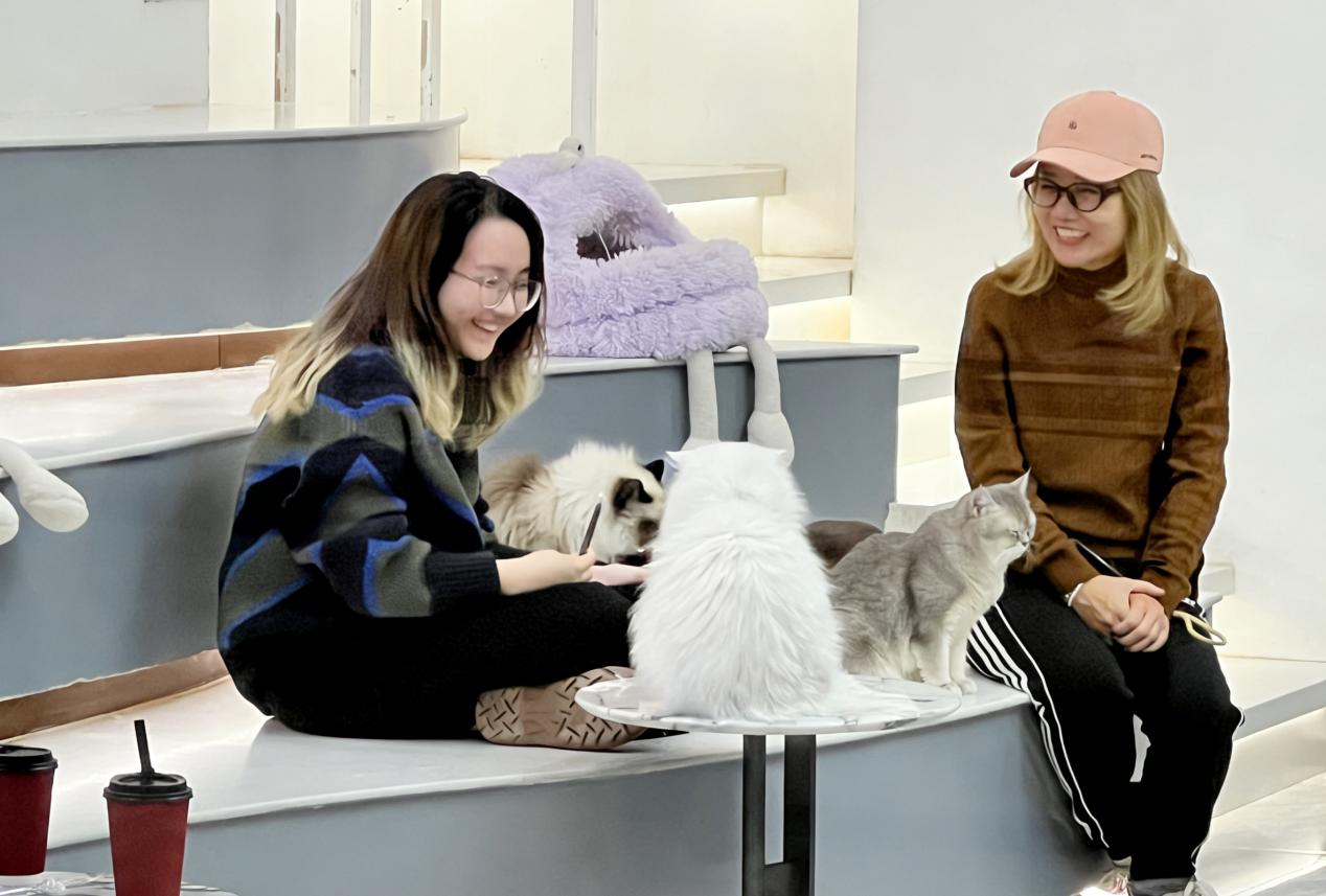 2026年1月20日，在北京五棵松万达广场暖宠家店铺里，消费者正与宠物猫互动。新华网　韩攀　摄